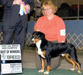 First Entlebucher Champion, Hoss