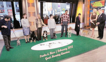 Entlebucher Hoss and Paula on Good Morning America TV Show