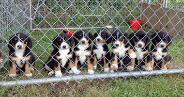 #image2 small portfolio2