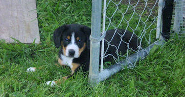 #image4 small portfolio4