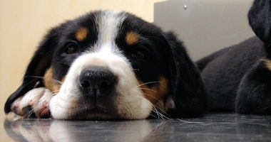 #image3 small portfolio3