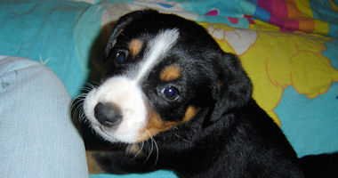 #image5 small portfolio4