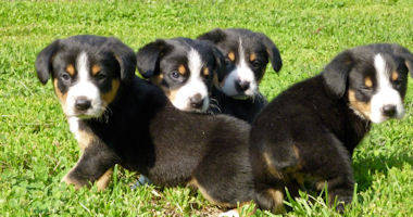 #image6 small portfolio4