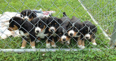 #image7 small portfolio4