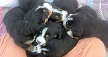 #image8 small portfolio4