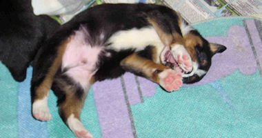 #image9 small portfolio4