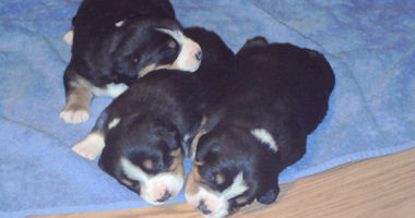 #image10 small portfolio4