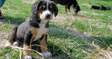 #image11 small portfolio4