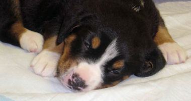 #image12 small portfolio4