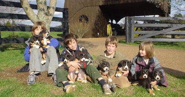 #image14 small portfolio4