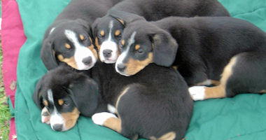 #image13 small portfolio4