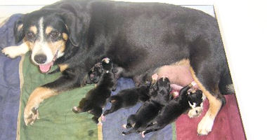 #image15 small portfolio4