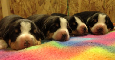 #image1 small portfolio1